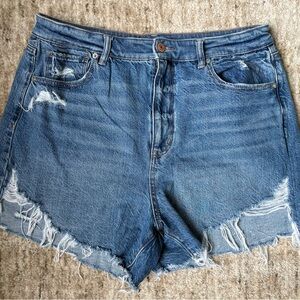 American Eagle Outfitters Blue Jean Shorts